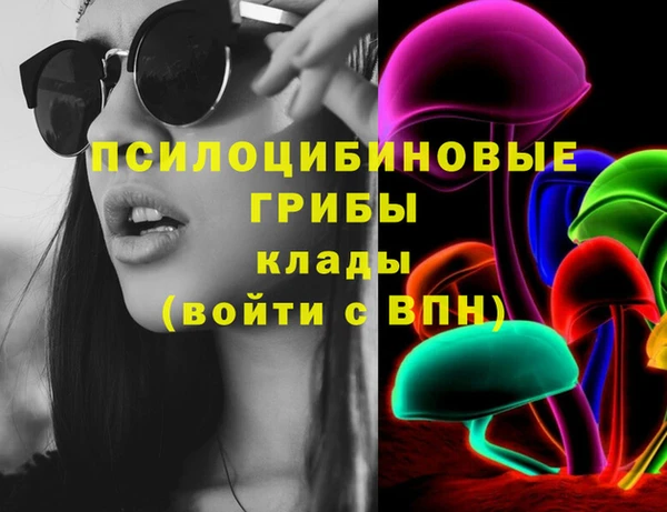 гидропоника Алзамай