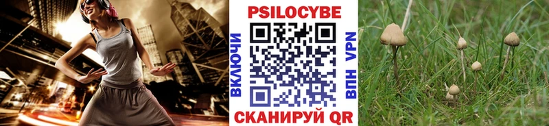 наркотики  Бакал  Галлюциногенные грибы Psilocybe 